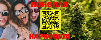 spice Гагарин