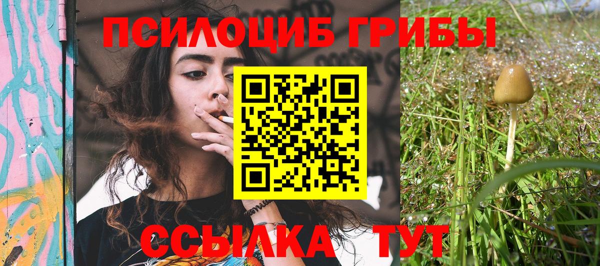 Богданович  Галлюциногенные грибы Magic Shrooms  Вход с VPN 