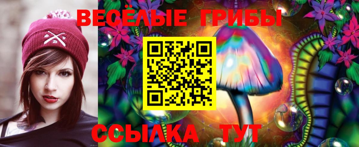 Псилоцибиновые грибы мухоморы Богданович